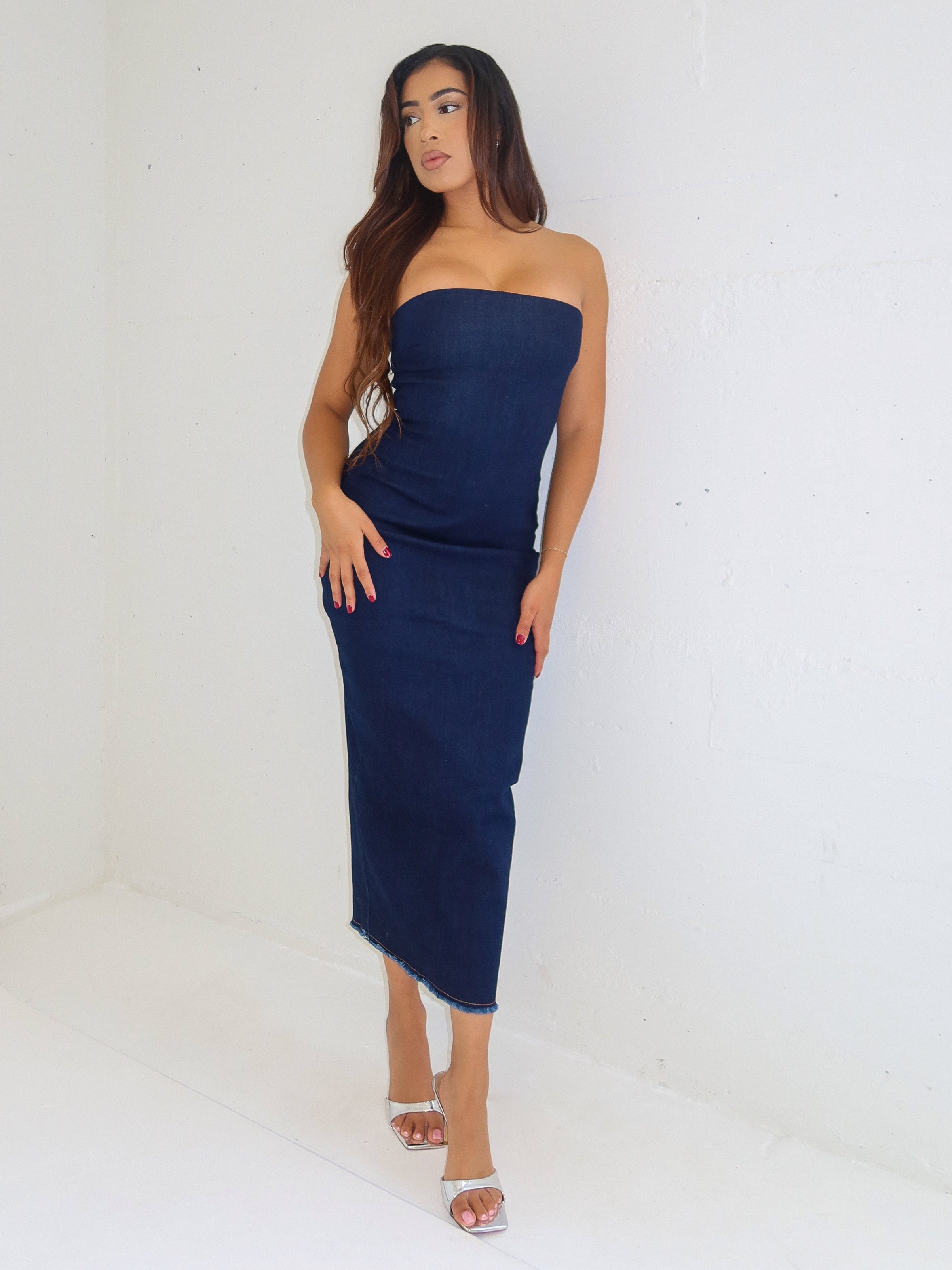 Alondra Denim Dress (Dark Denim) Small
