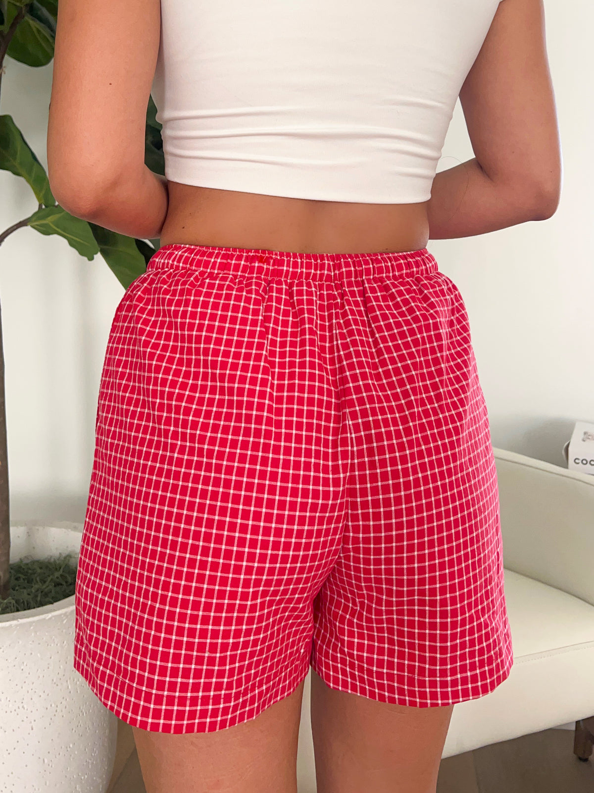 Diane Checkered Shorts (Red)