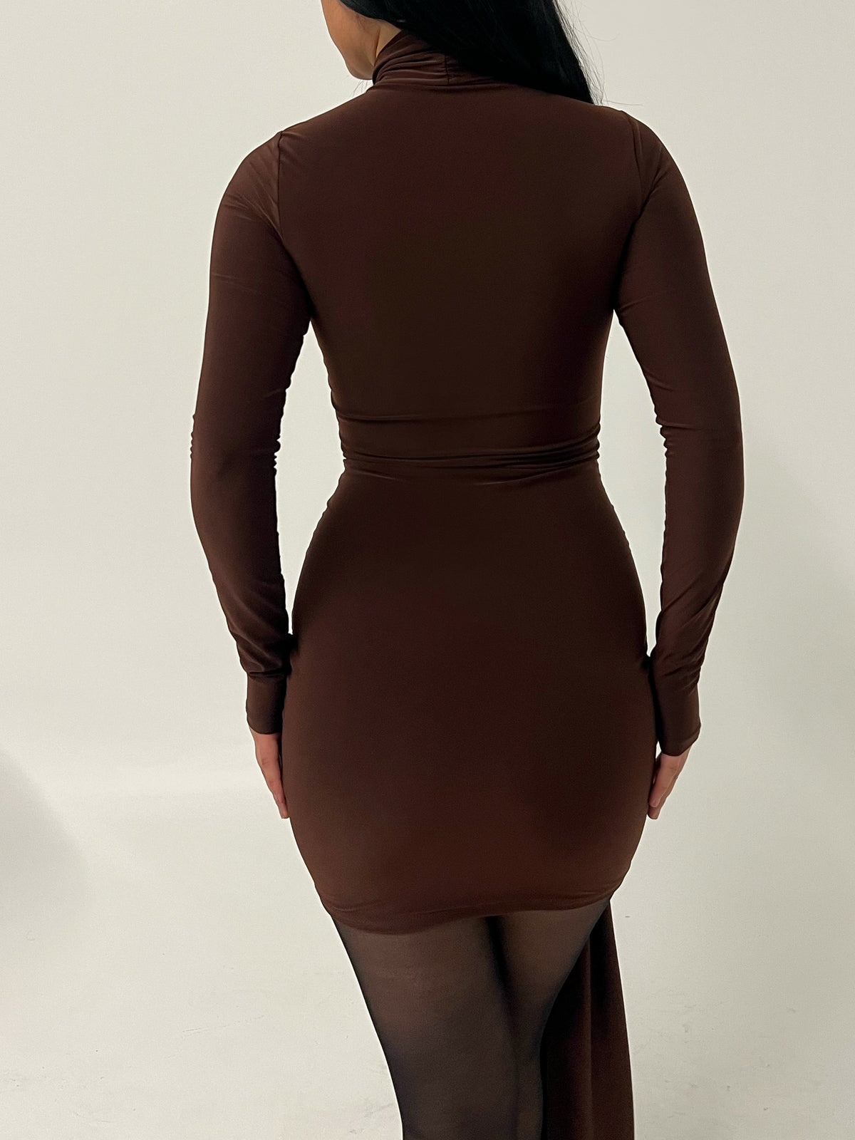 Elena Turtleneck Dress (Brown)