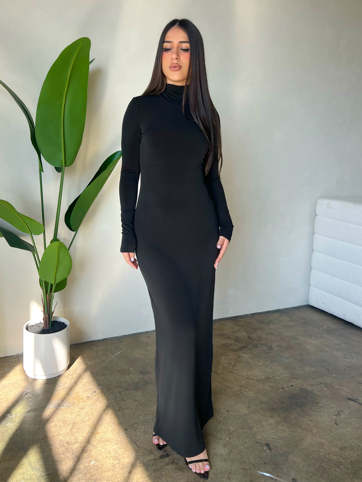 Arianna Turtleneck Dress (Black)