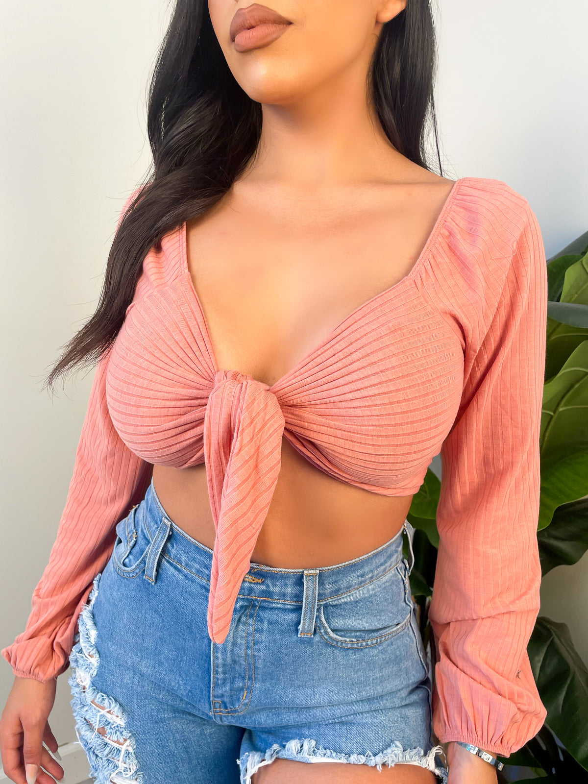 blush top, crop top, off the shoulder, self tie front, ribbed 