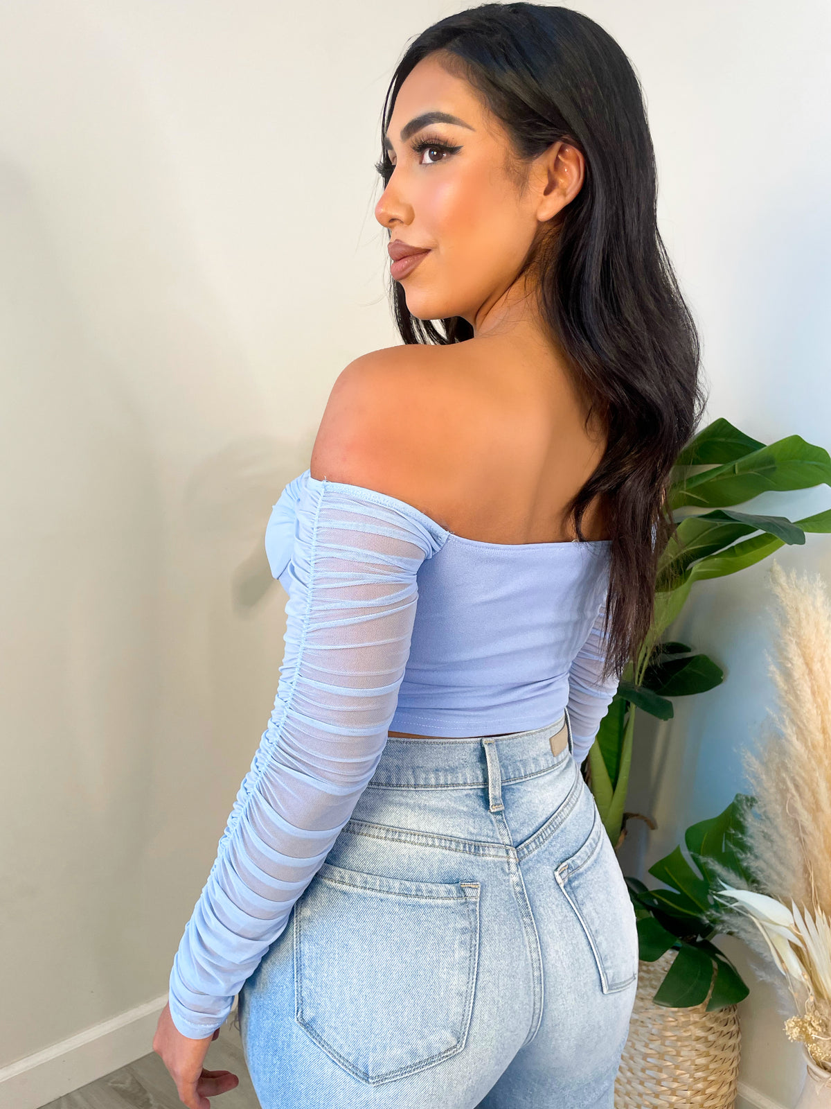 blue crop top, off the shoulder, sheer sleeves, mesh, corset-like structure, hook on clips (run down middle front), ruched